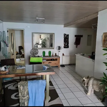2 Direkt Am Maggiore Apartman Gambarogno