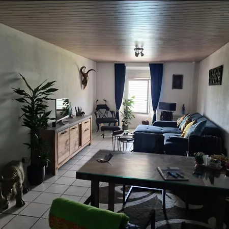 2 Direkt Am Maggiore 公寓 Gambarogno